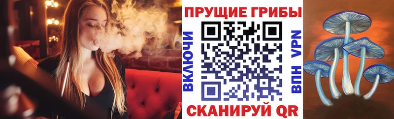 где продают наркотики  Нижний Новгород  Галлюциногенные грибы Psilocybe 