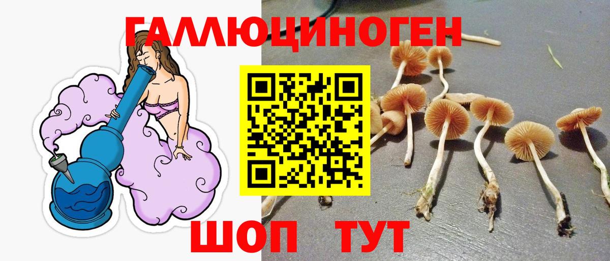 Галлюциногенные грибы Psilocybe  Вход с VPN  Нижний Новгород  Псилоцибиновые грибы мицелий 